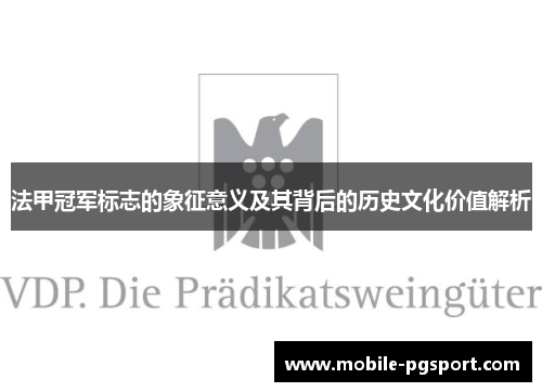 法甲冠军标志的象征意义及其背后的历史文化价值解析