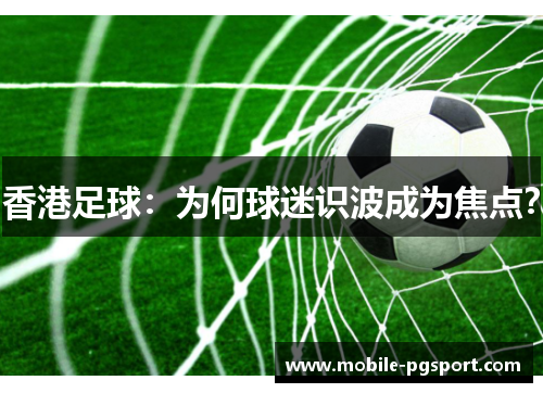 香港足球:为何球迷识波成为焦点? 香港足球:为何球迷识波成为焦点?