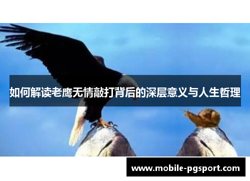 如何解读老鹰无情敲打背后的深层意义与人生哲理